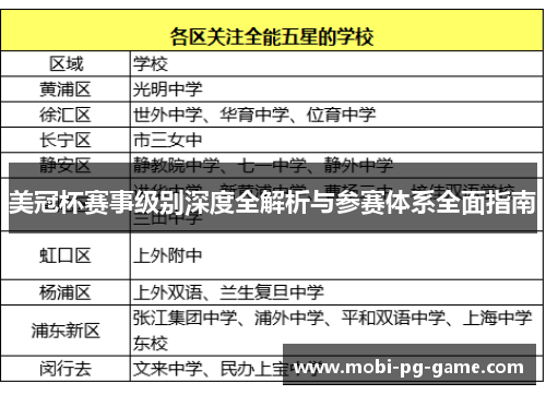 美冠杯赛事级别深度全解析与参赛体系全面指南