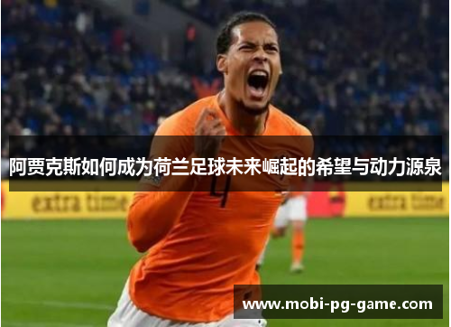 阿贾克斯如何成为荷兰足球未来崛起的希望与动力源泉 阿贾克斯如何成为荷兰足球未来崛起的希望与动力源泉